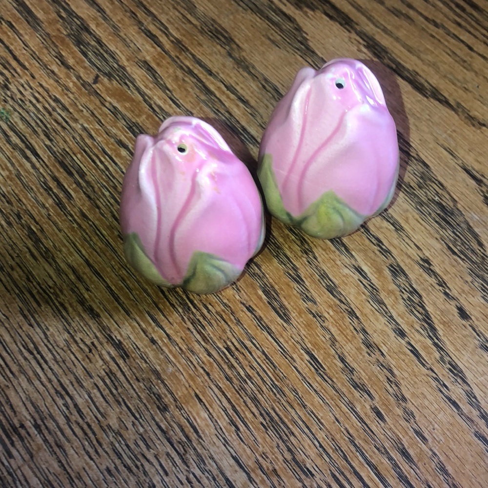 Vintage Franciscan desert rose salt and pepper shakers